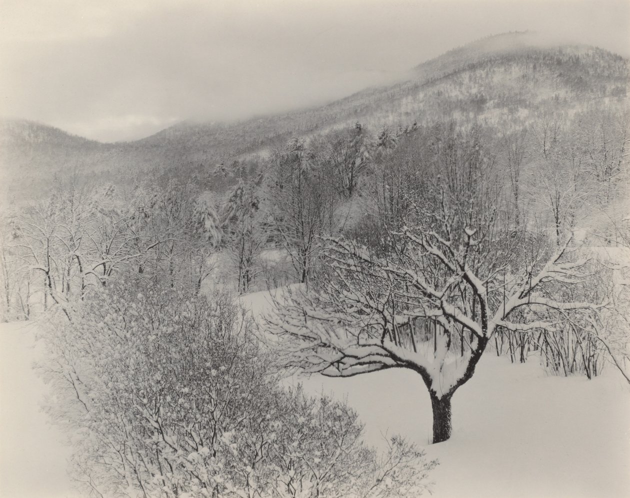 Lake George door Alfred Stieglitz