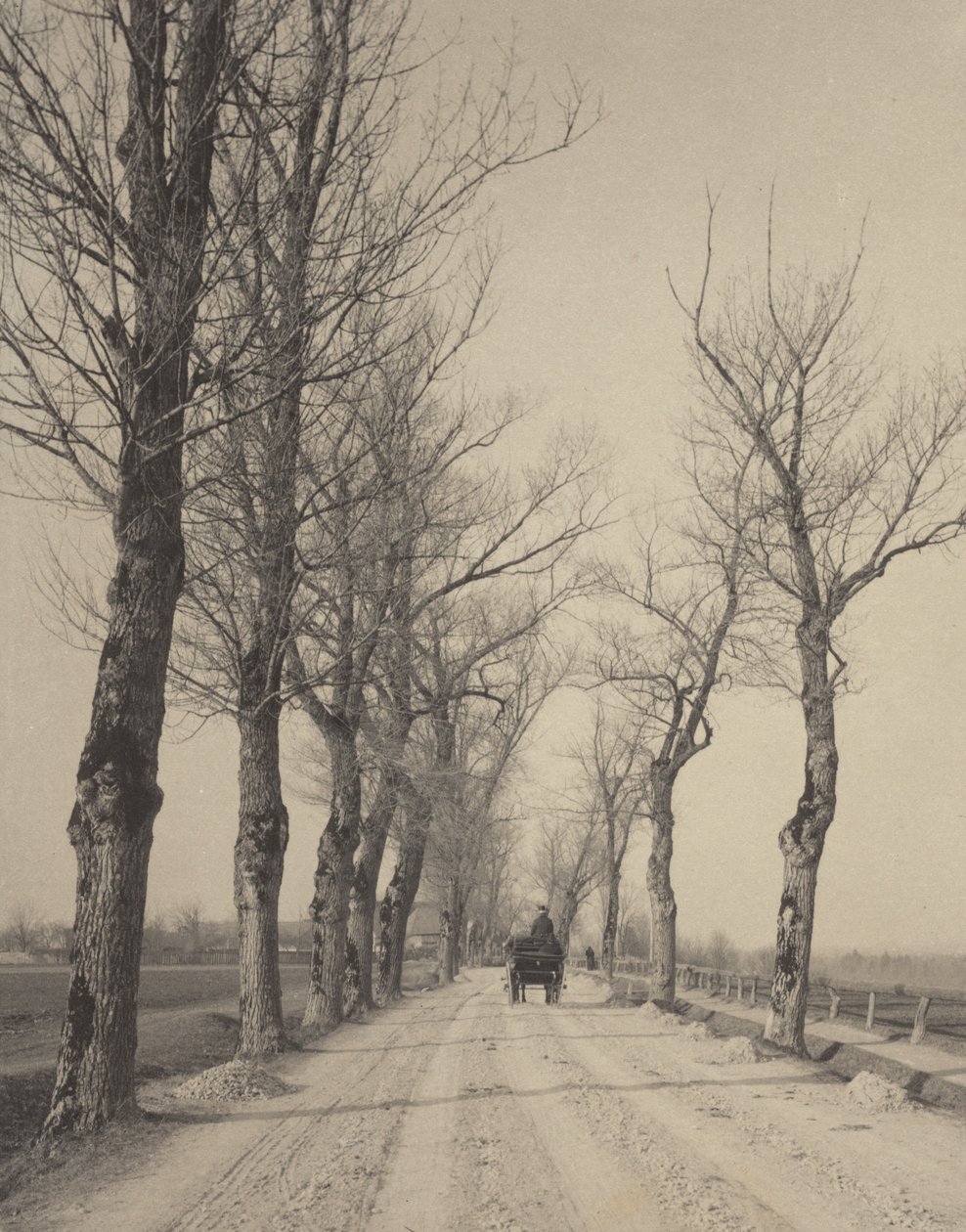 Novemberdagen door Alfred Stieglitz