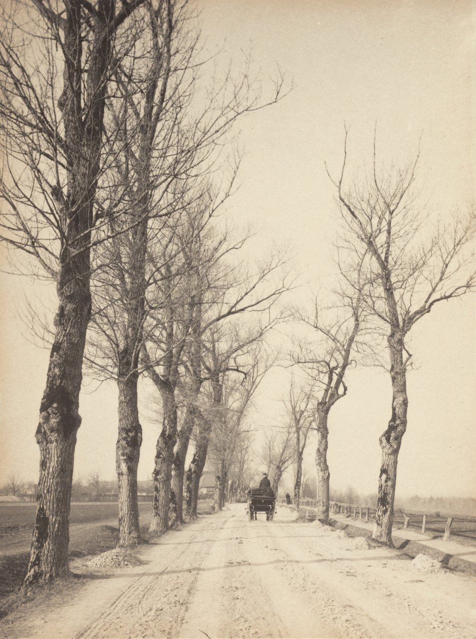 Novemberdagen door Alfred Stieglitz