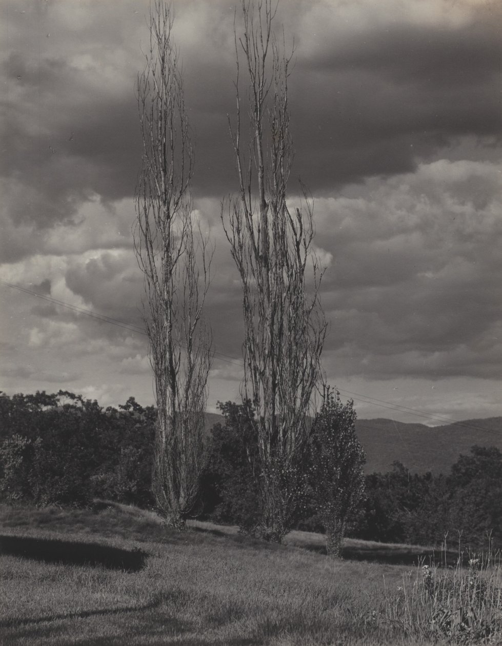 Populieren — Lake George door Alfred Stieglitz