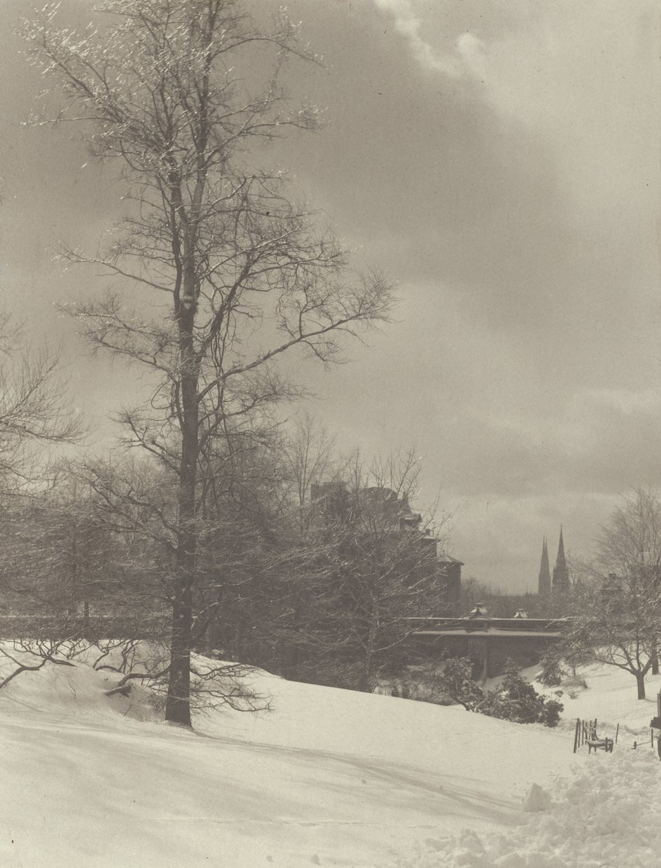 Winter (Central Park) door Alfred Stieglitz