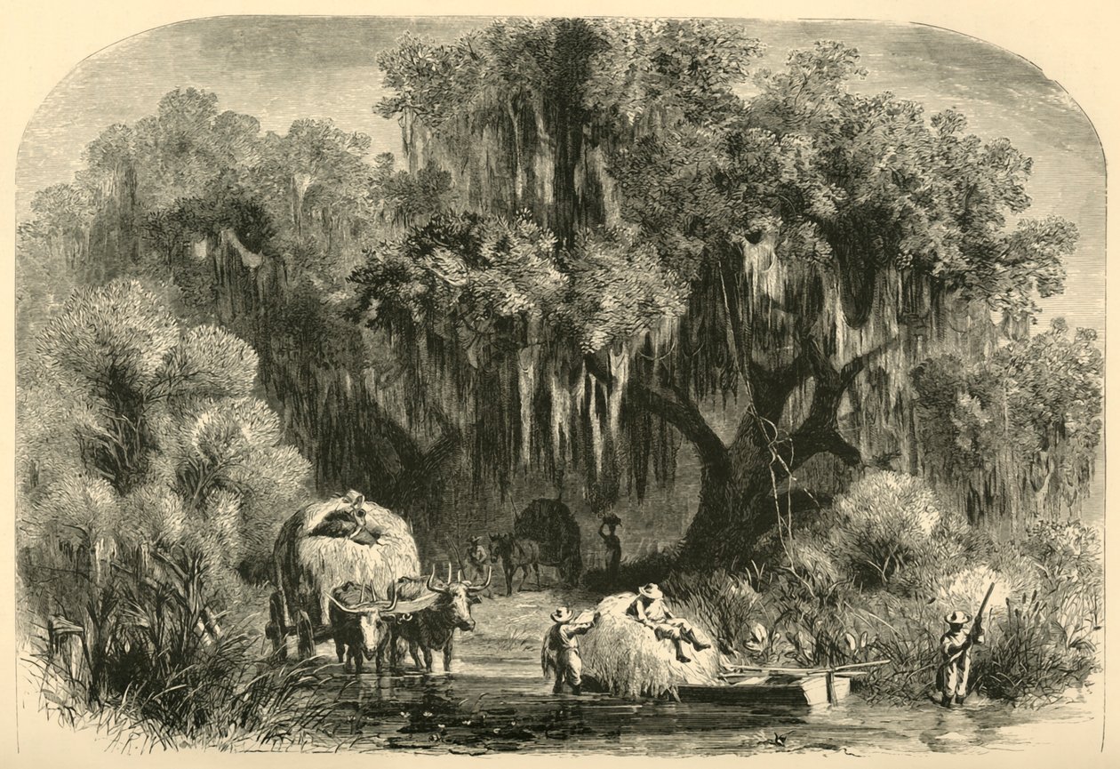 De mosverzamelaars, 1872 door Alfred Rudolph Waud