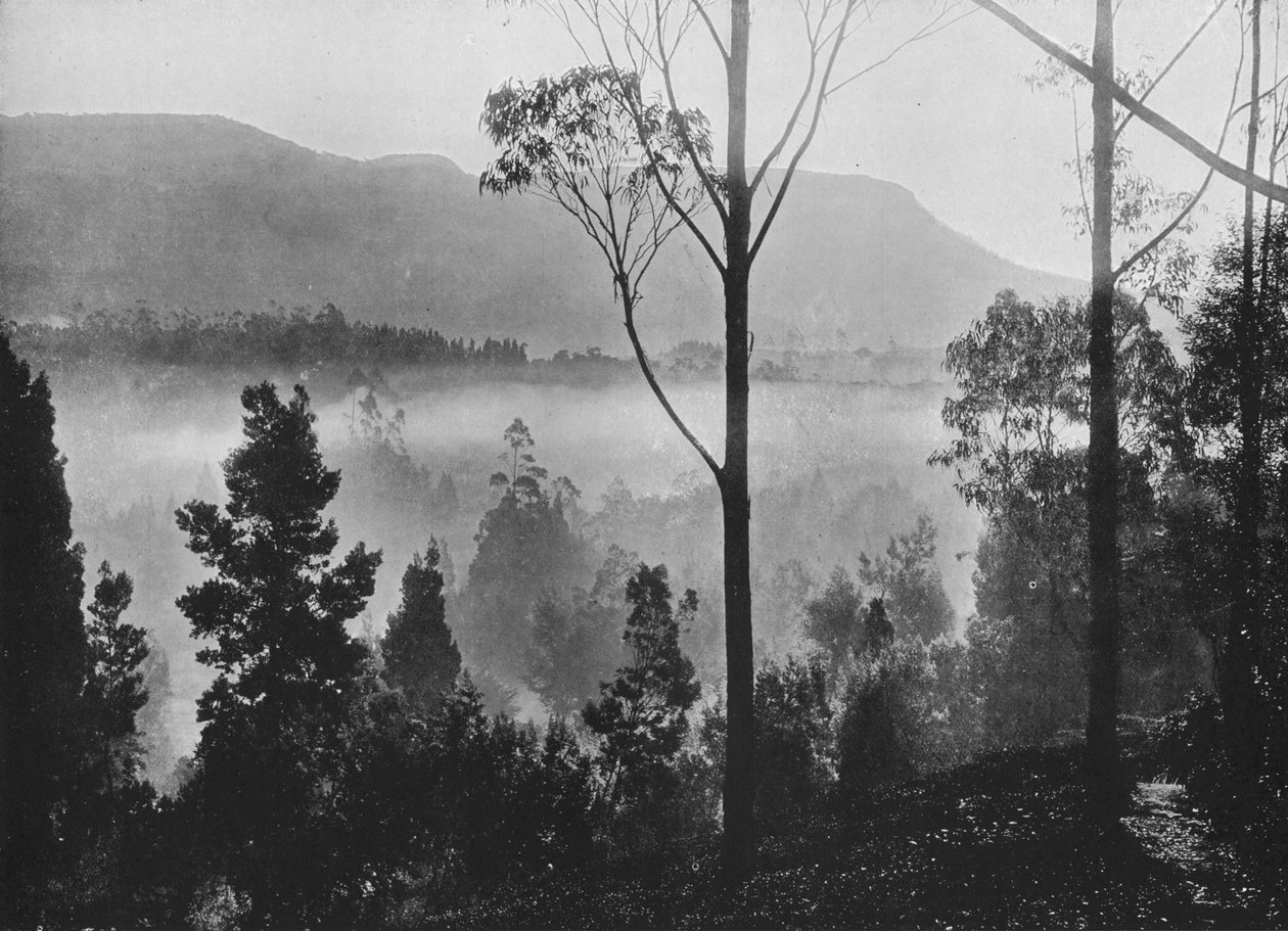 De Ochtendmist die Oprijst in Nuwara Eliya, ca. 1890, 1910 door Alfred William Amandus Plate