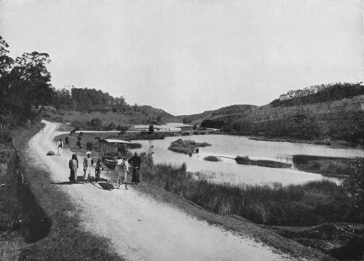 De Maanvlakten, Nuwara Eliya, c1890 door Alfred William Amandus Plate