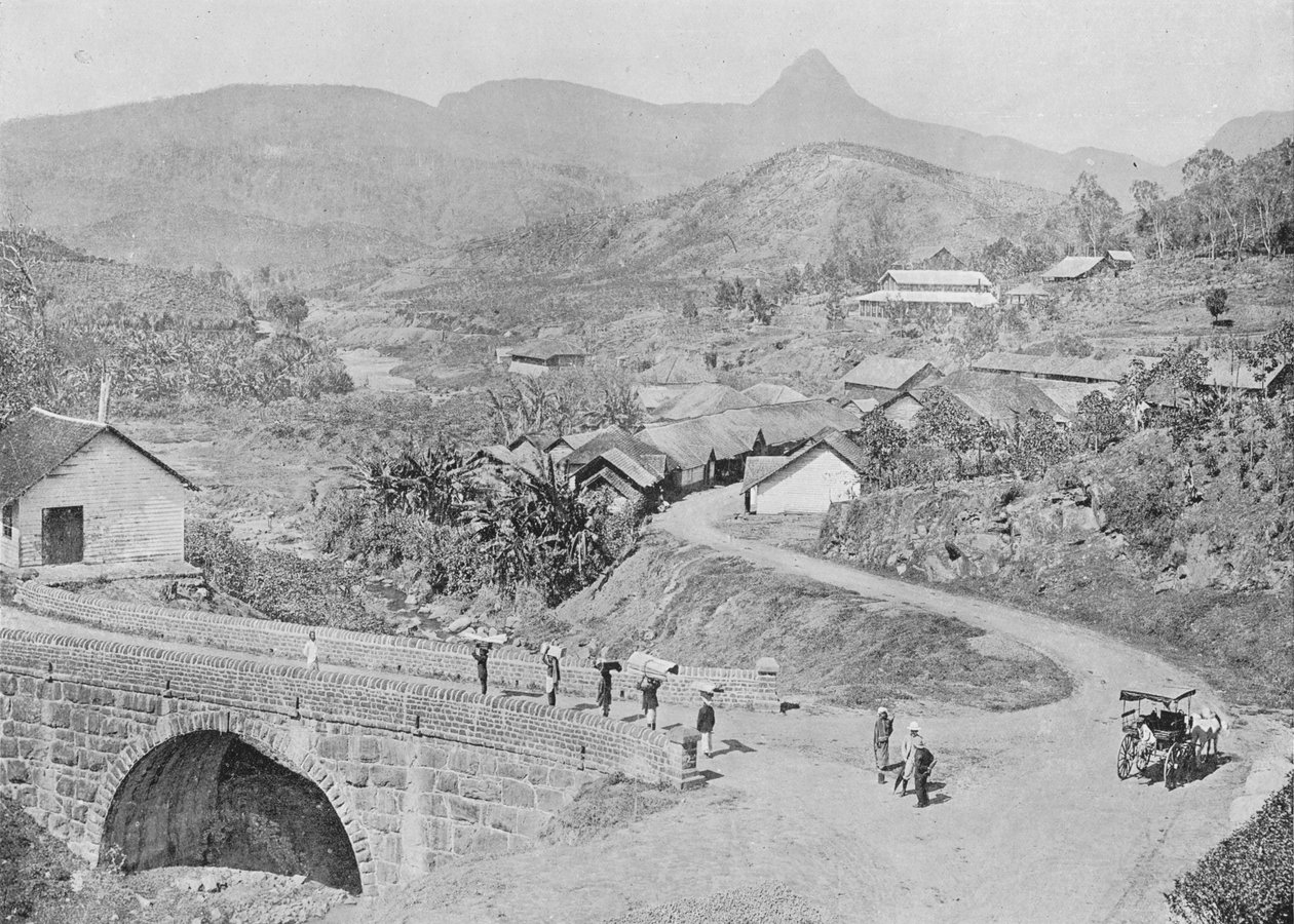 Uitzicht op Maskeliya met Adams Peak, ca. 1890, 1910 door Alfred William Amandus Plate