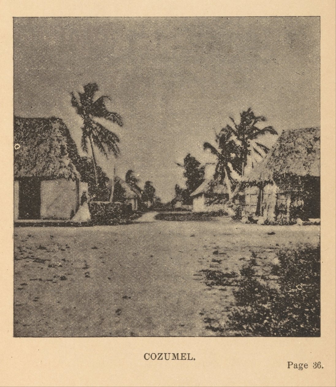 Cozumel door Alice Dixon Le Plongeon
