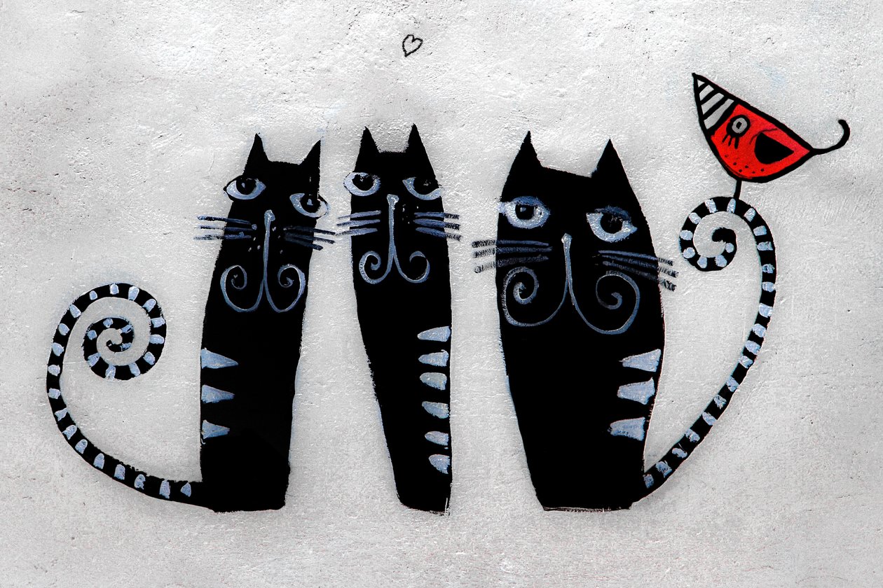 3 katten uit Krakau, 2019 (foto) door Alice Gur-Arie