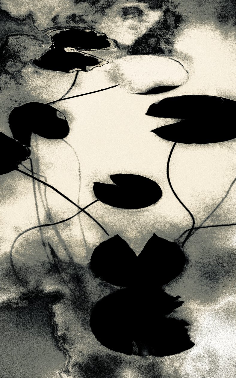 Gold Dust Shadows, uit de serie Spring, 2020 (handgeschilderde foto) door Alice Gur Arie