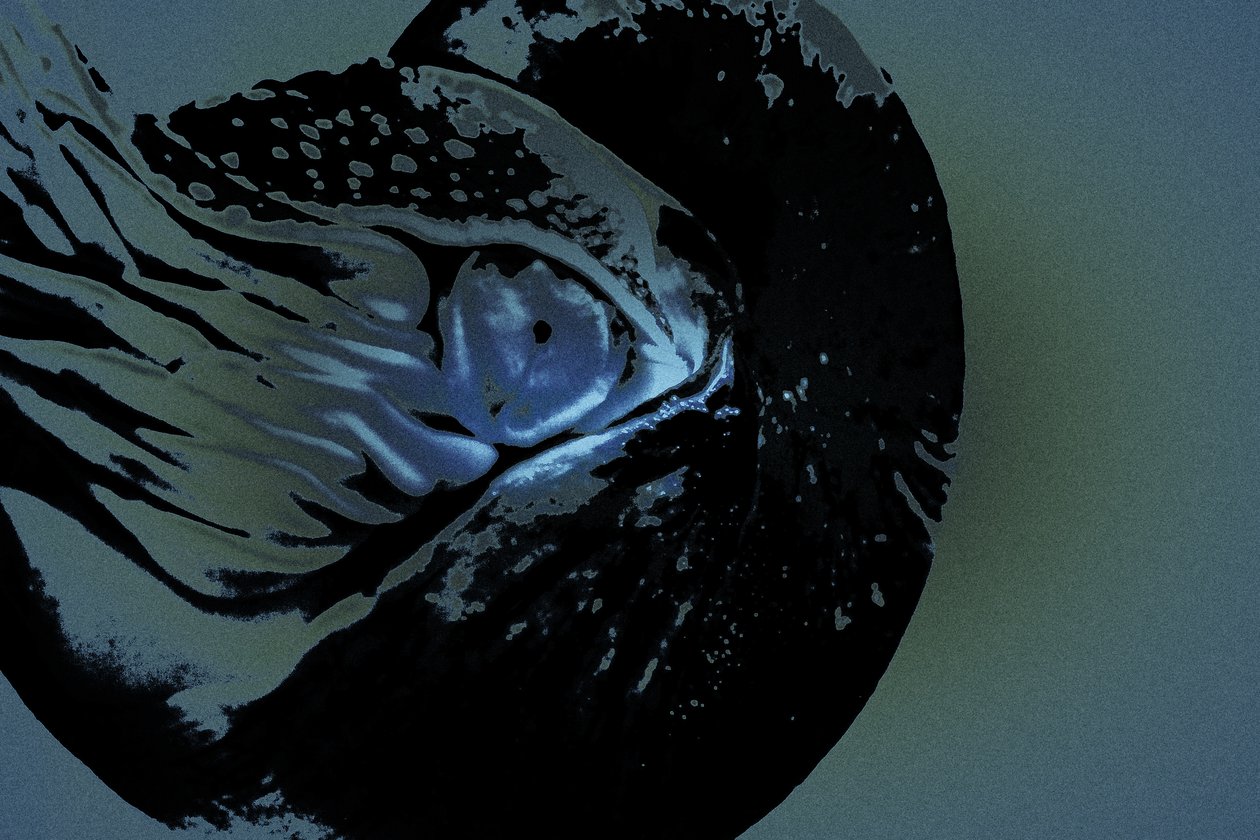 Nautilus, 2018 (handgeschilderde foto) door Alice Gur Arie