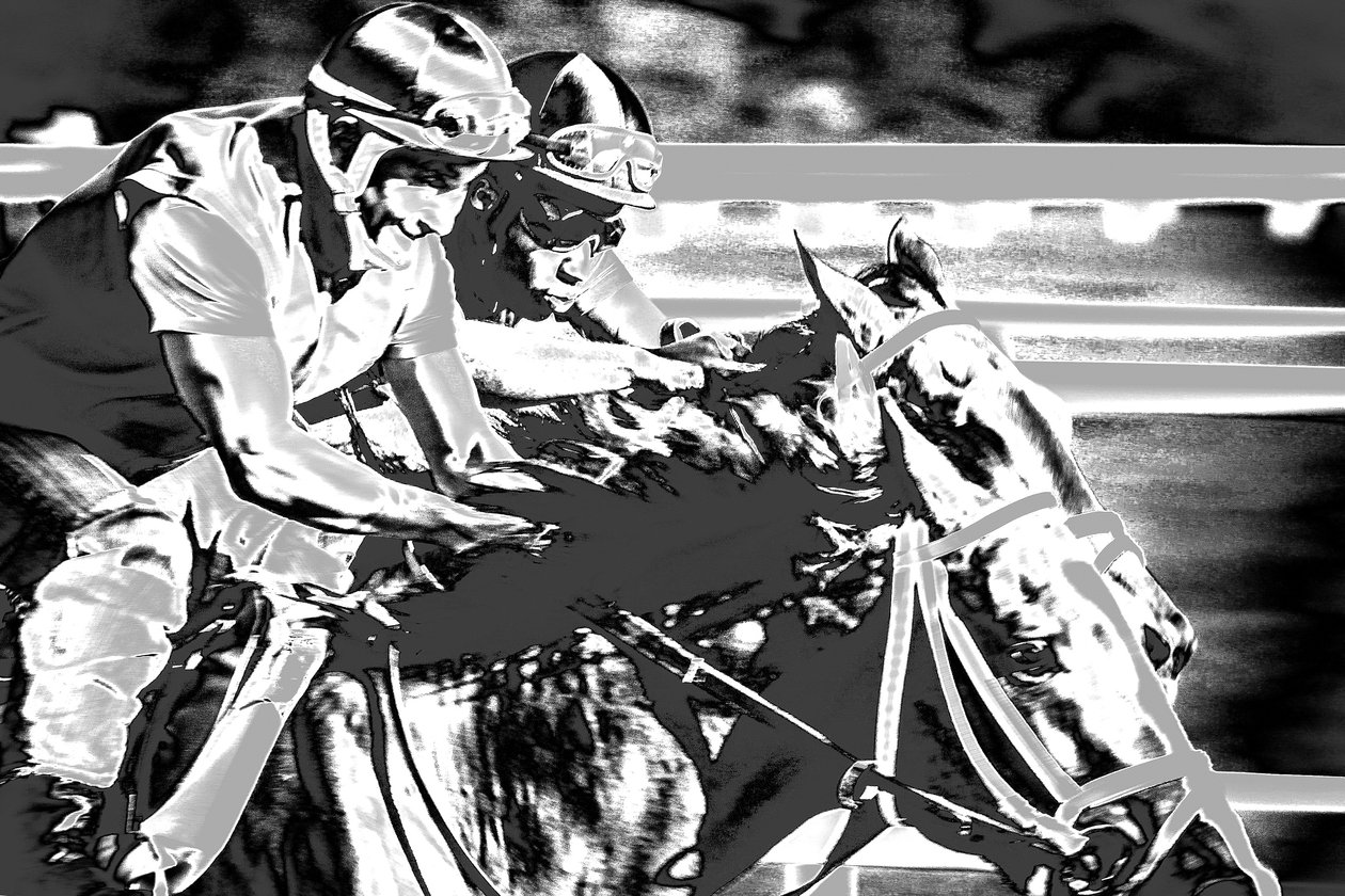 Saratogoa Trials, 2015 (handgeschilderde foto) door Alice Gur-Arie