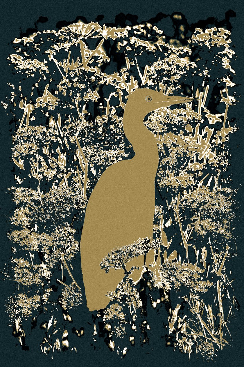 Grote zilverreiger, 2015 (foto) door Alice Gur Arie