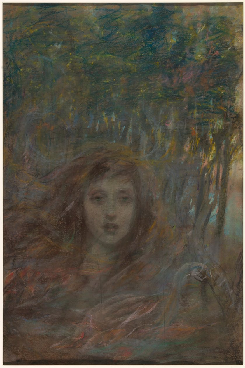 Visie door hout door Alice Pike Barney