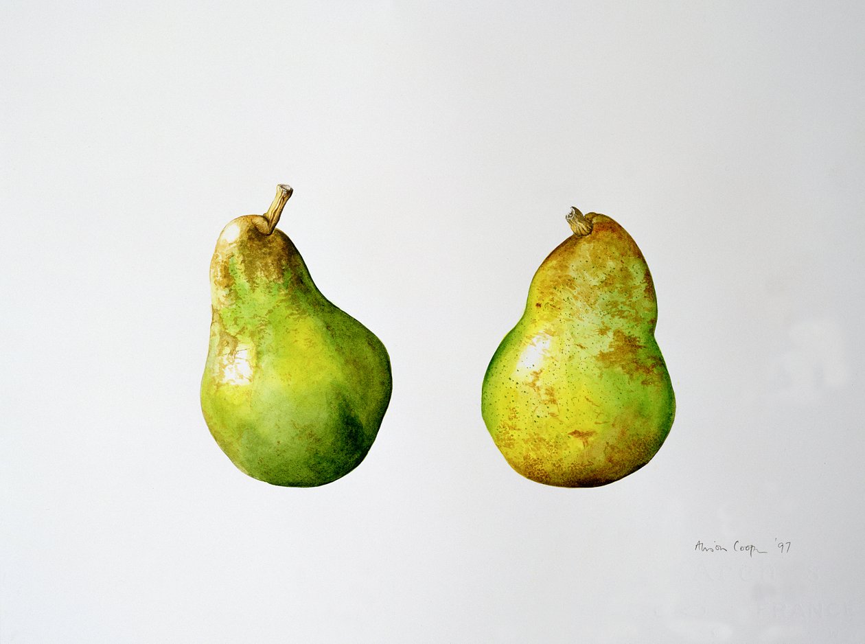Een paar peren door Alison Cooper