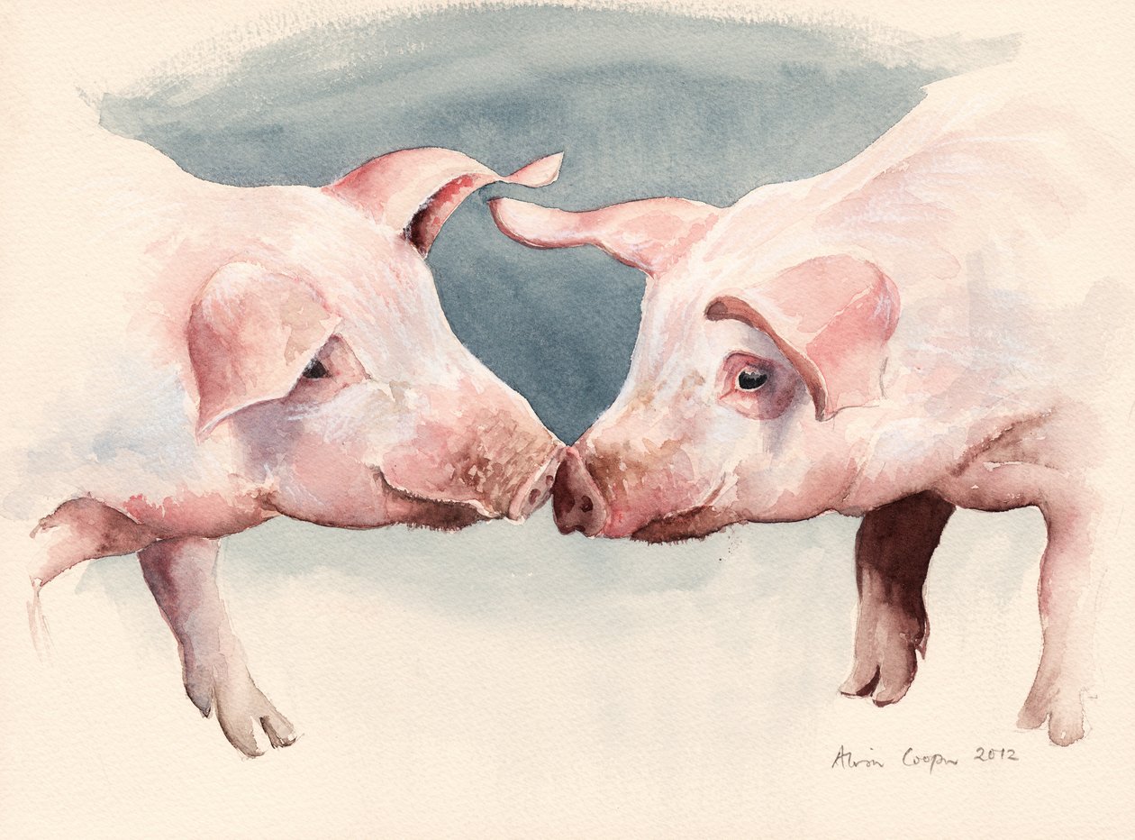 Twee Kleine Biggetjes, 2012 door Alison Cooper