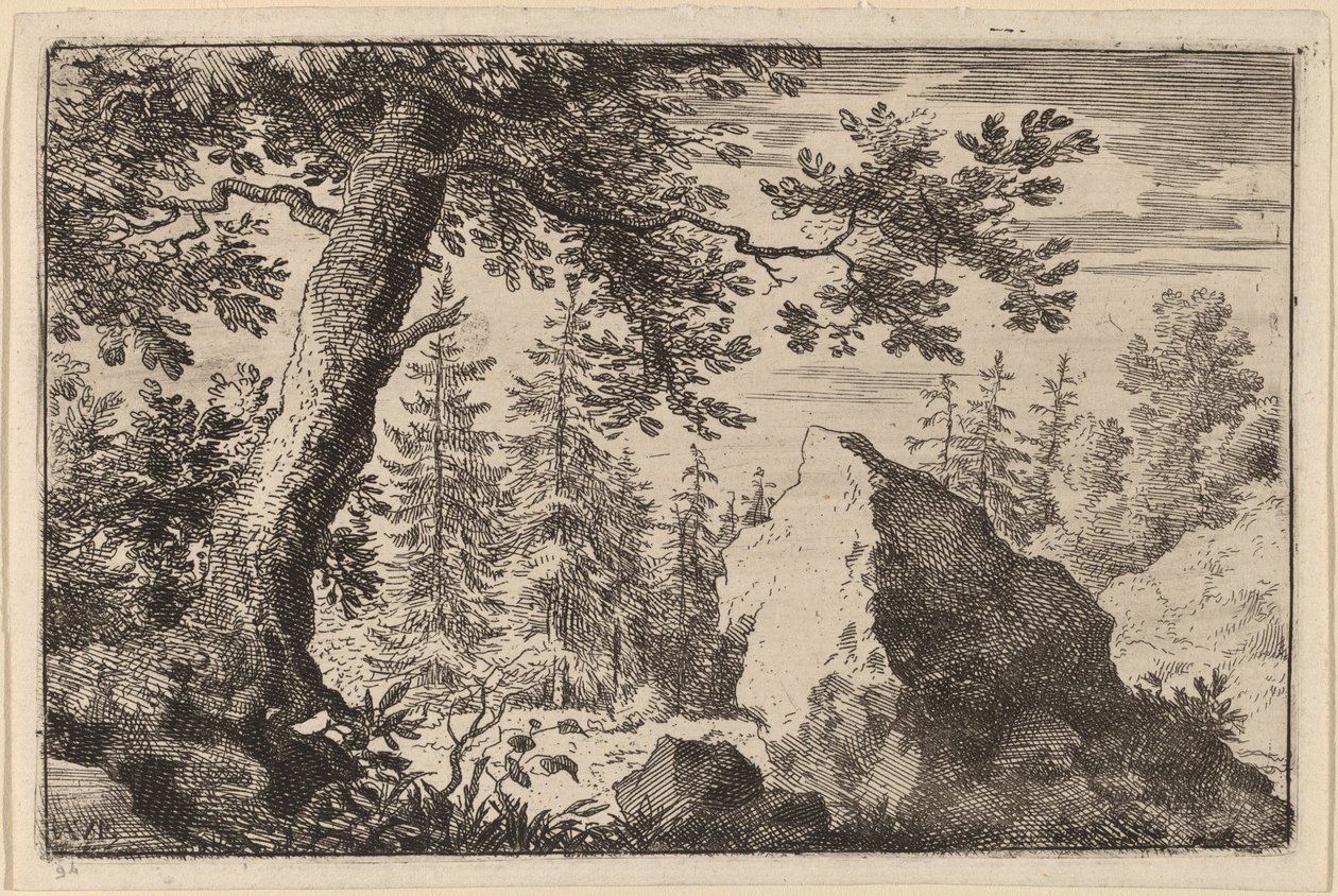 Rots in het bos door Allart van Everdingen