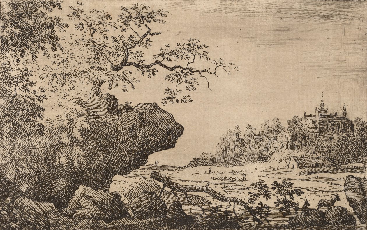 Tak in het water, waarschijnlijk ca. 1645-1656 door Allart van Everdingen