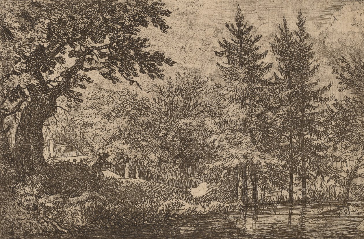 Sparren bij het water, waarschijnlijk ca. 1645-1656 door Allart van Everdingen