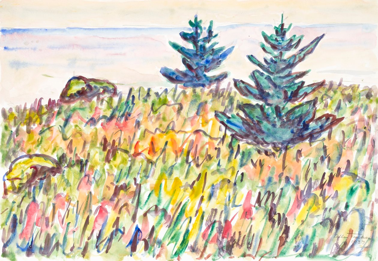 Aquarel nr. 35, Veld met twee pijnbomen door Allen Tucker