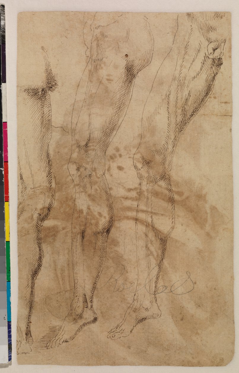 Drie studies van een mannelijk been (verso) c.1537 door Alonso (workshop of) Berruguete