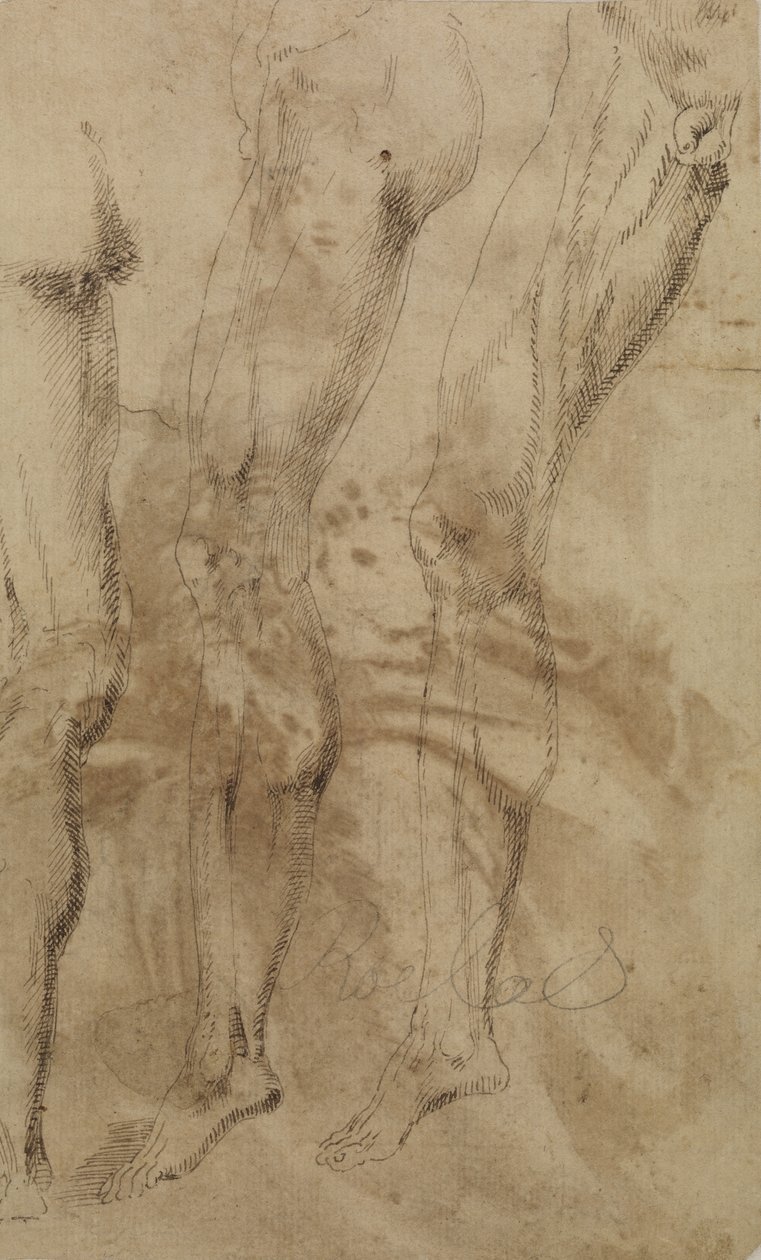 Drie studies van een mannelijk been, ca. 1637 door Alonso Berruguete