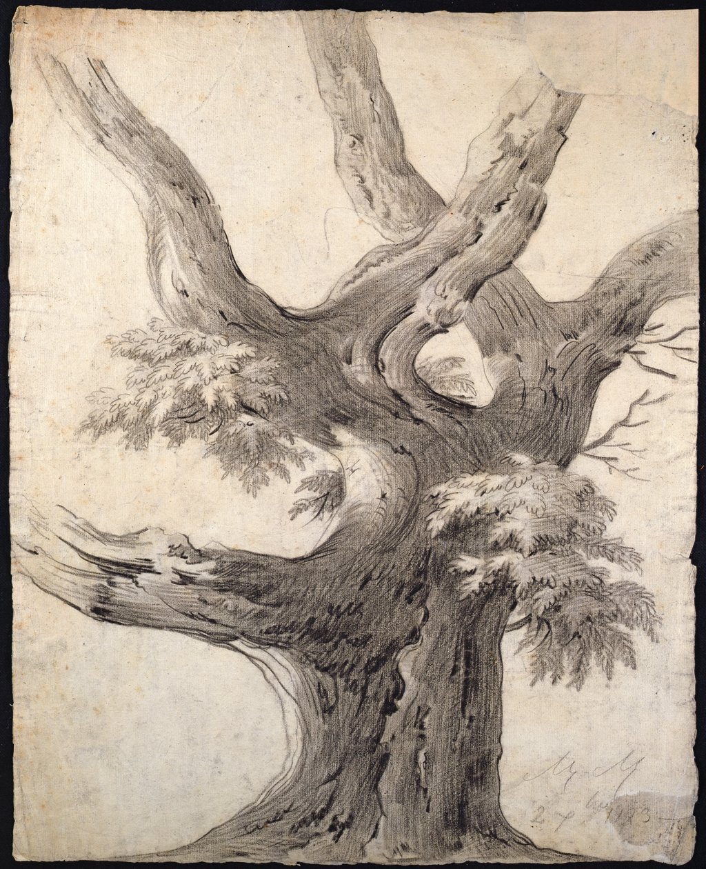 Studie van een Boom, 1823 door Alphonse Nicolas Michel Mandevare