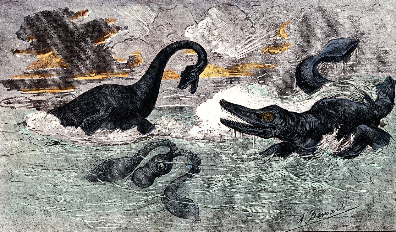 Lias Periode (Onder Jura): Plesiosaurus en Ichthyosaurus, natuurlijke creatie en levende wezens (door Jules Rengade) Tekening door A. Demarle. 1885 door Alphonse Demarle