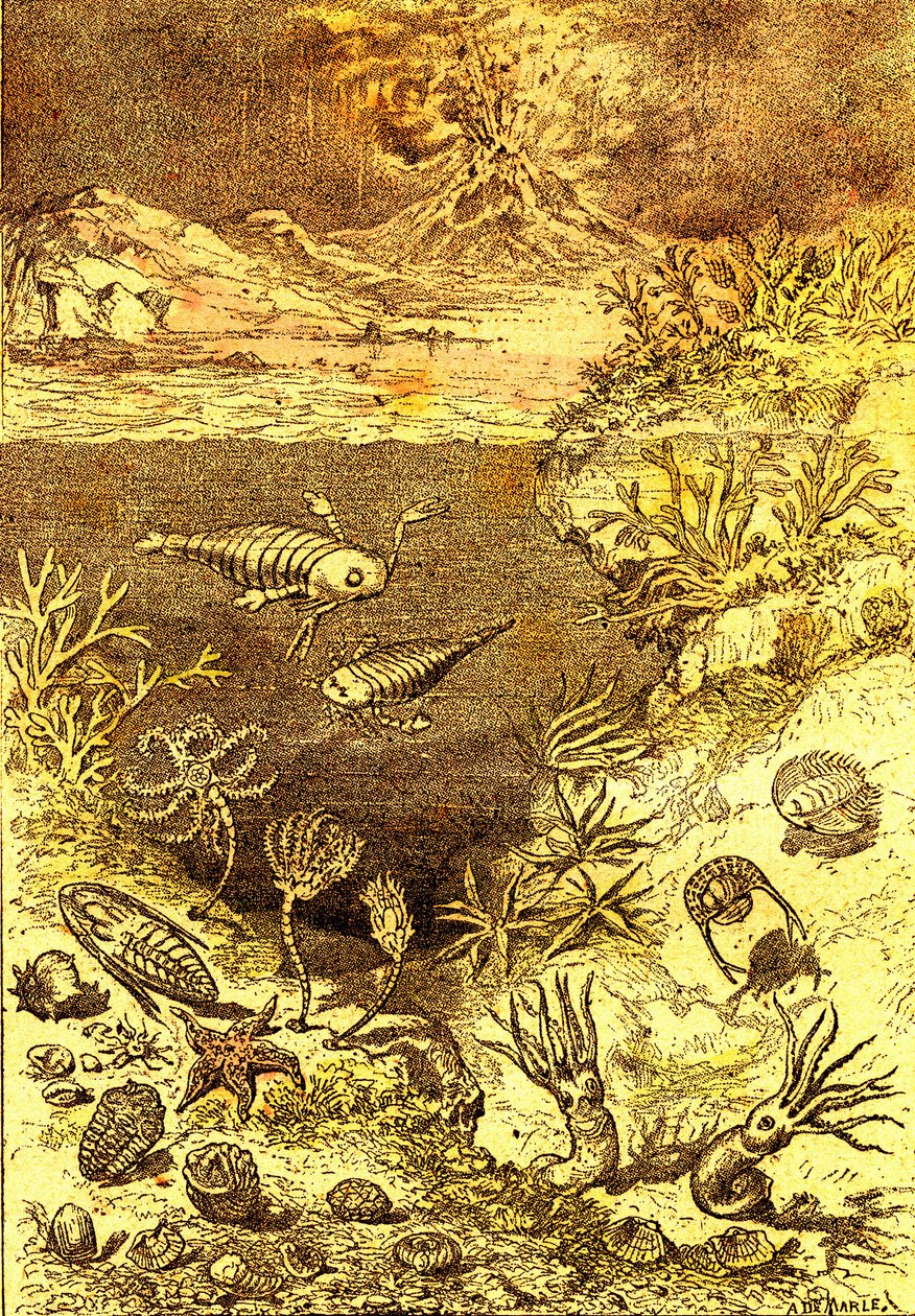 Prehistorie-Einde van de Silurische periode: Natuurlijke Schepping en Levende Wezens (J. Rengade) Tekening A. Demarle. 1885 door Alphonse Demarle