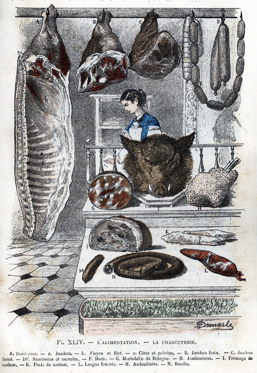 Uitzicht op een vleeswaren Een halve varkensvlees (een ham b aloyau c ribben en borst) B verse ham C gerookte ham D worsten en cerevelas F hure G mortadella uit Bologna H ham I varkenskaas K varkenspoten L gevulde tong M andouillette N bloedworst) (delicat door Alphonse Demarle