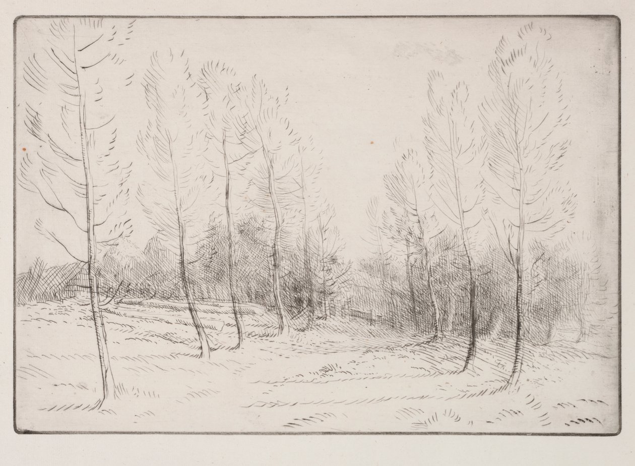 Laan van populieren door Alphonse Legros