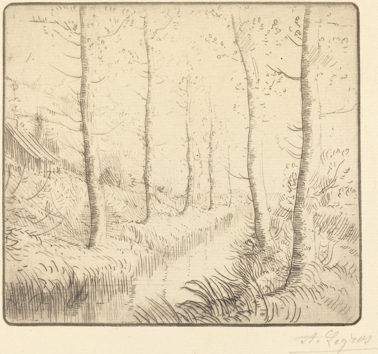 Berkenbomen langs het Water (Les bouleaux: Bord de l