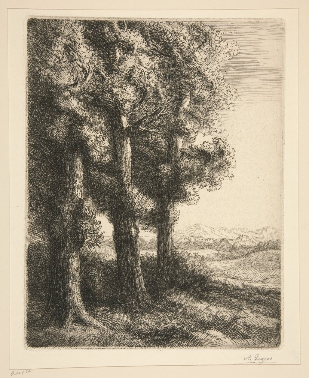 Een hoek van een bos door Alphonse Legros