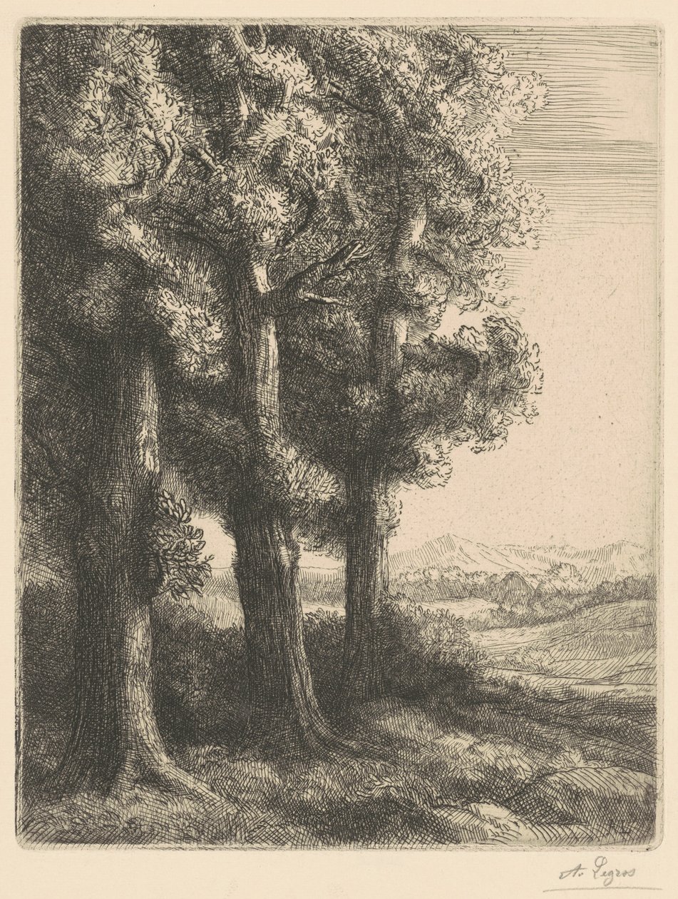 Corner of a Wood (Hoek van een bos) door Alphonse Legros