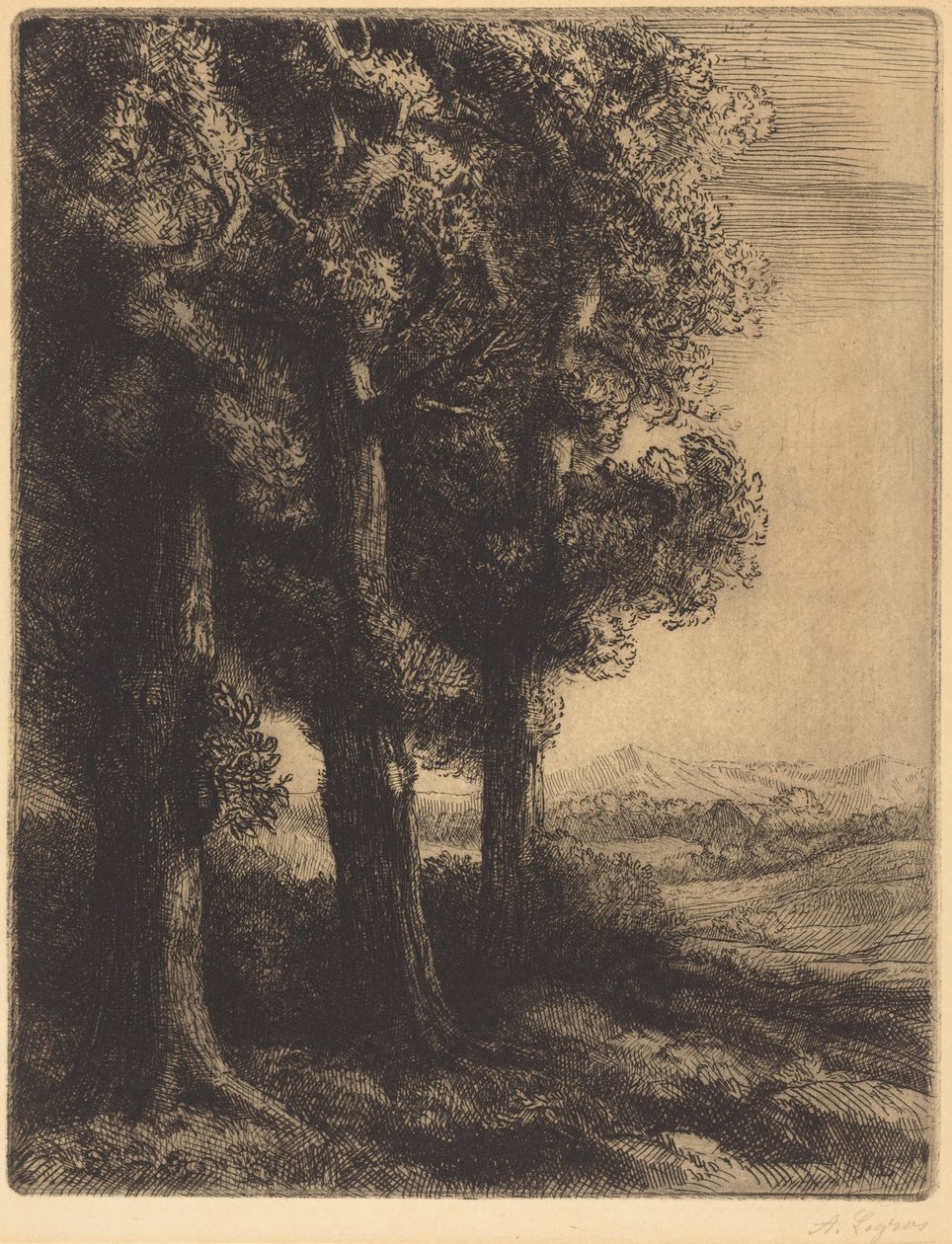 Corner of a Wood (Hoek van een bos) door Alphonse Legros