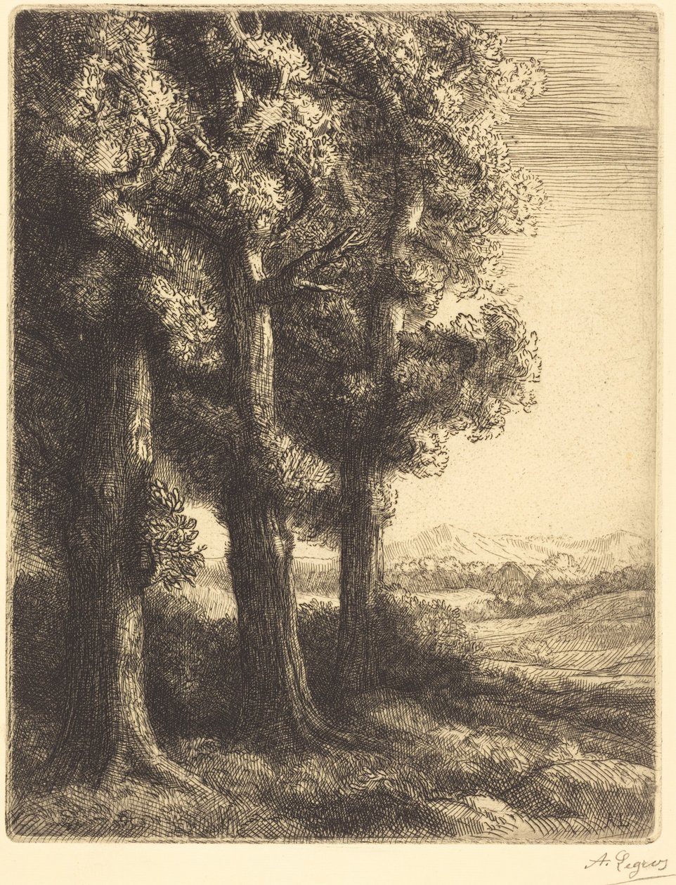 Corner of a Wood (Hoek van een bos) door Alphonse Legros