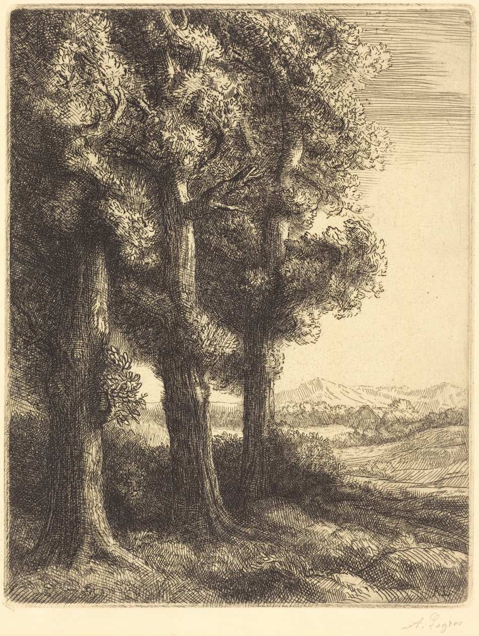Corner of a Wood (Hoek van een bos) door Alphonse Legros