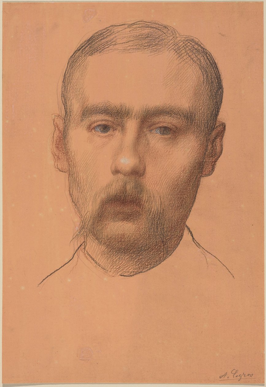 Hoofd van een man  (Mogelijk portret van professor E.D. Adams) door Alphonse Legros