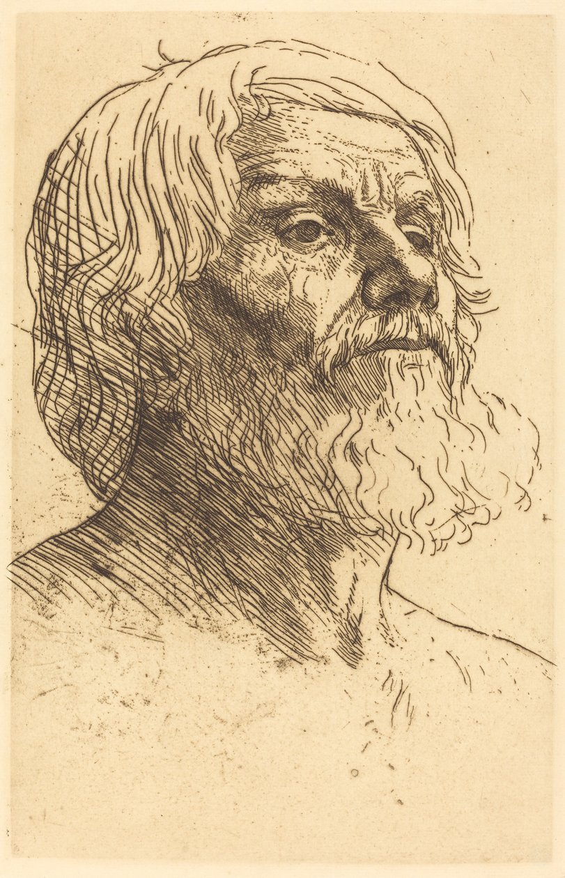 Hoofd van een man (Tete d