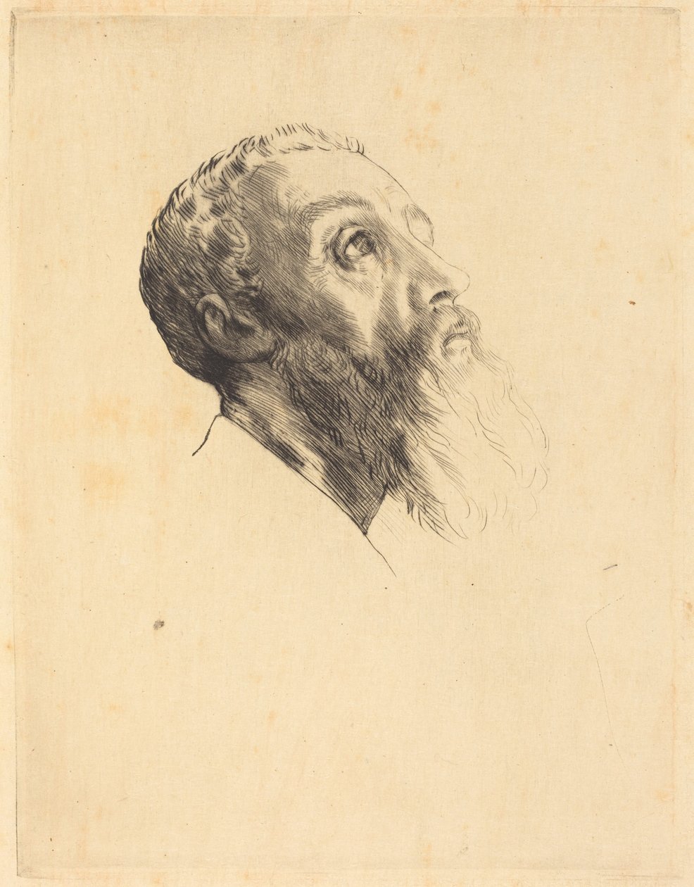 Hoofd van een model (Têtes de modèles) door Alphonse Legros