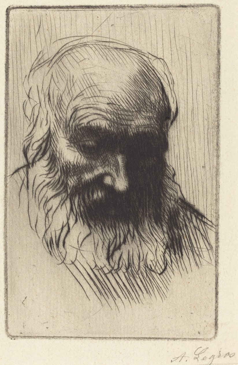 Hoofd van een oude man (Etude de tête) door Alphonse Legros