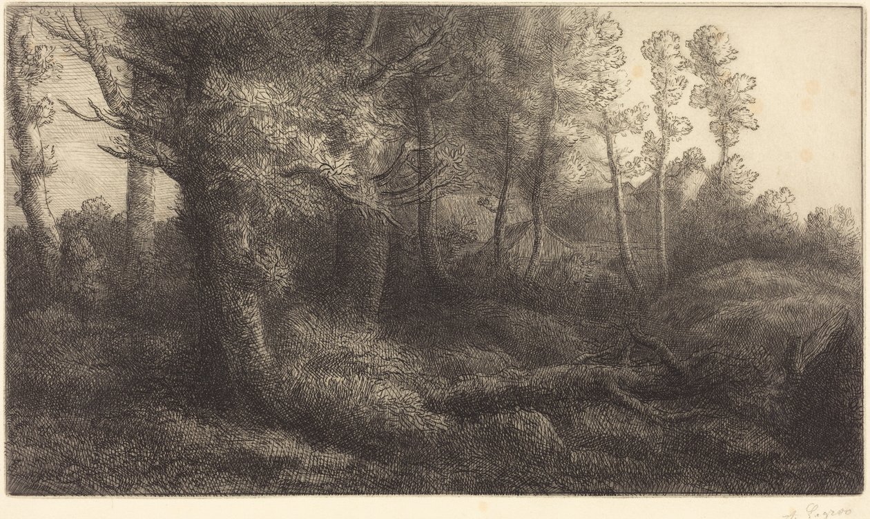 In het bos (Lisière de forêt) door Alphonse Legros