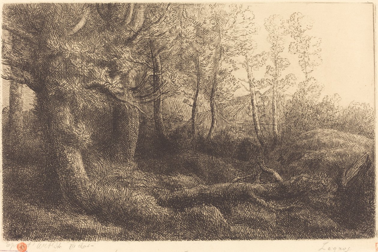 In het bos Lisiere de foret door Alphonse Legros