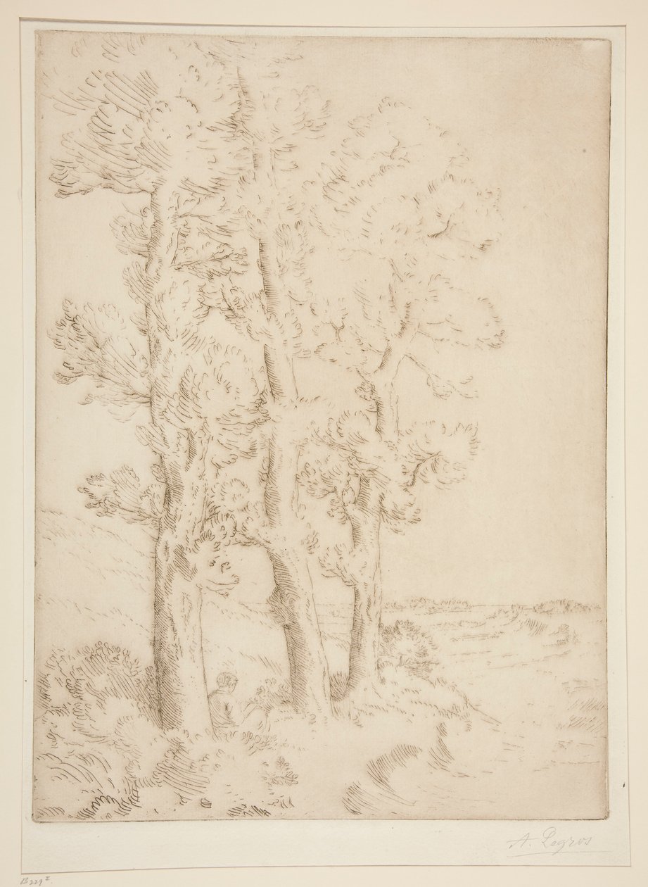 La liseuse: La lecture sous les arbres (Vrouw Leest: Les onder de Bomen) door Alphonse Legros