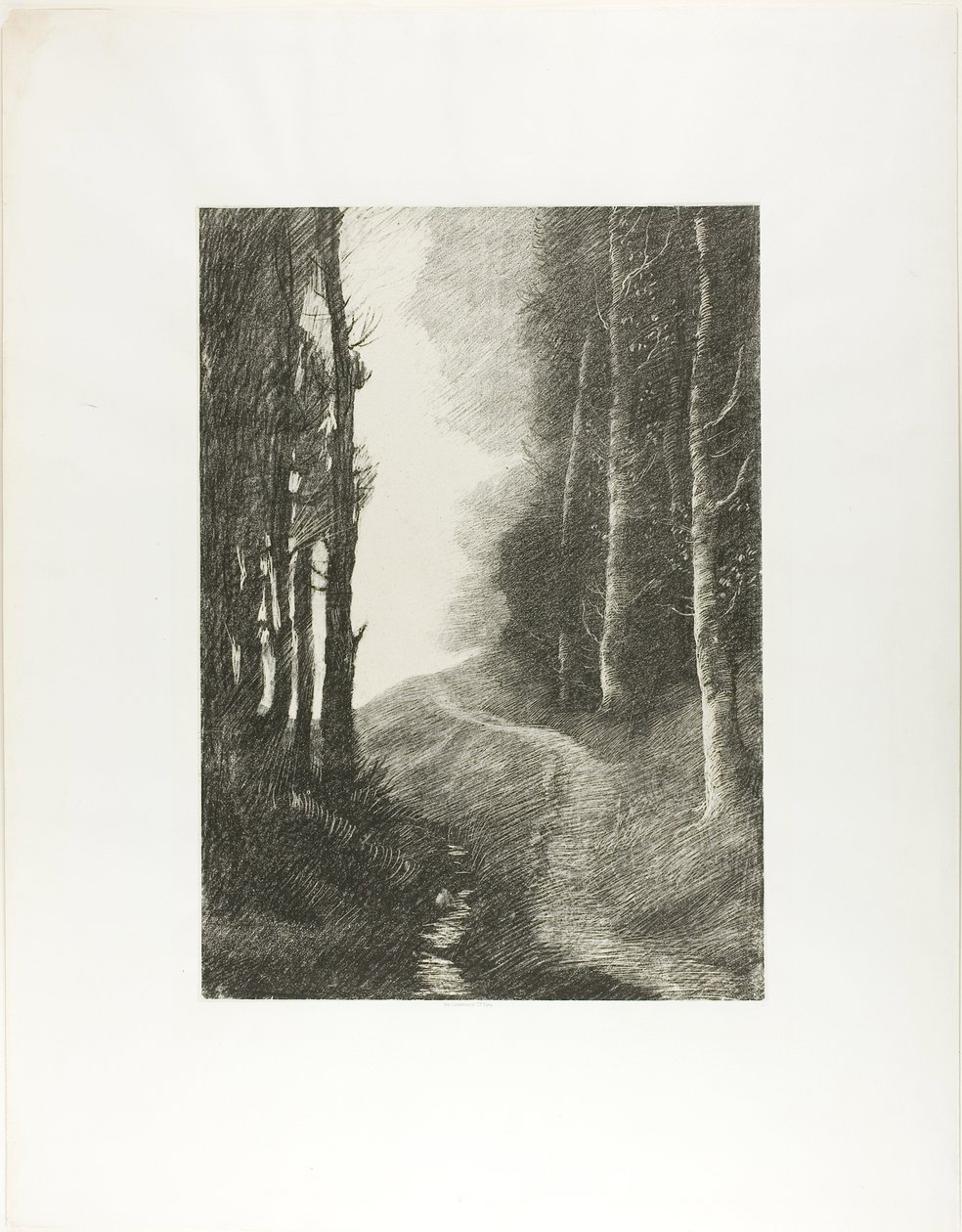 Landschap met berkenbomen door Alphonse Legros