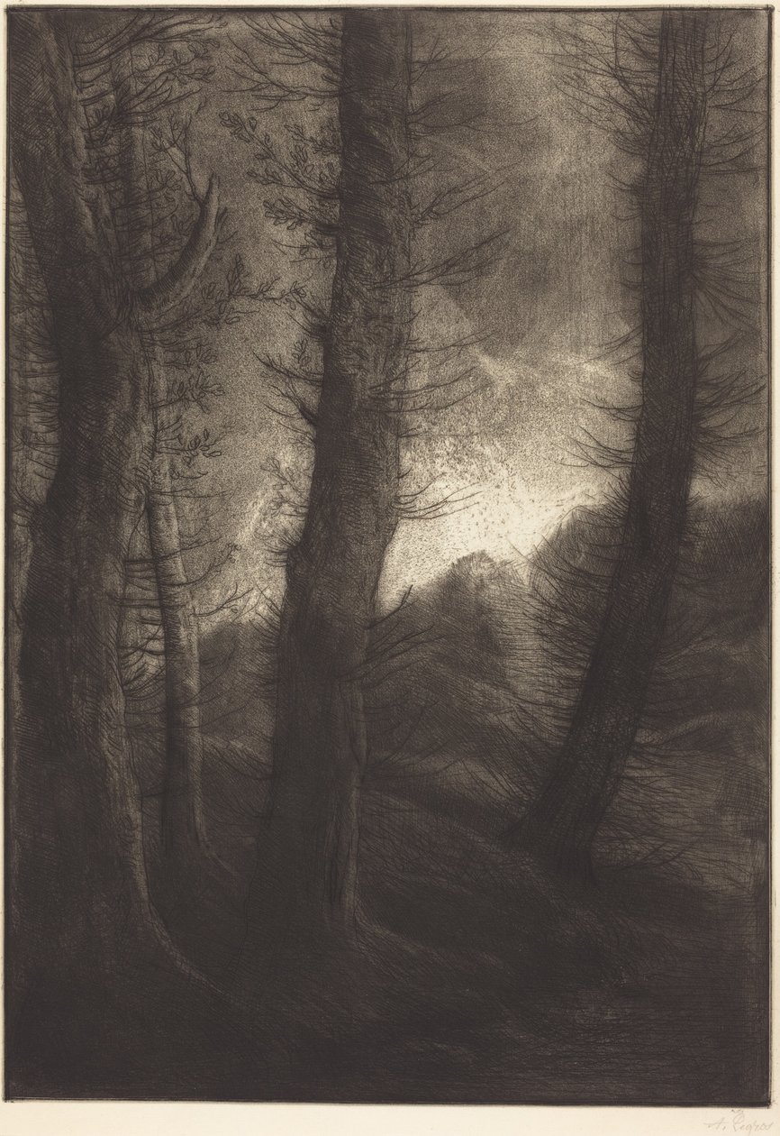 Grote bomen tegen de zon  (Grote bomen: avondlicht) door Alphonse Legros