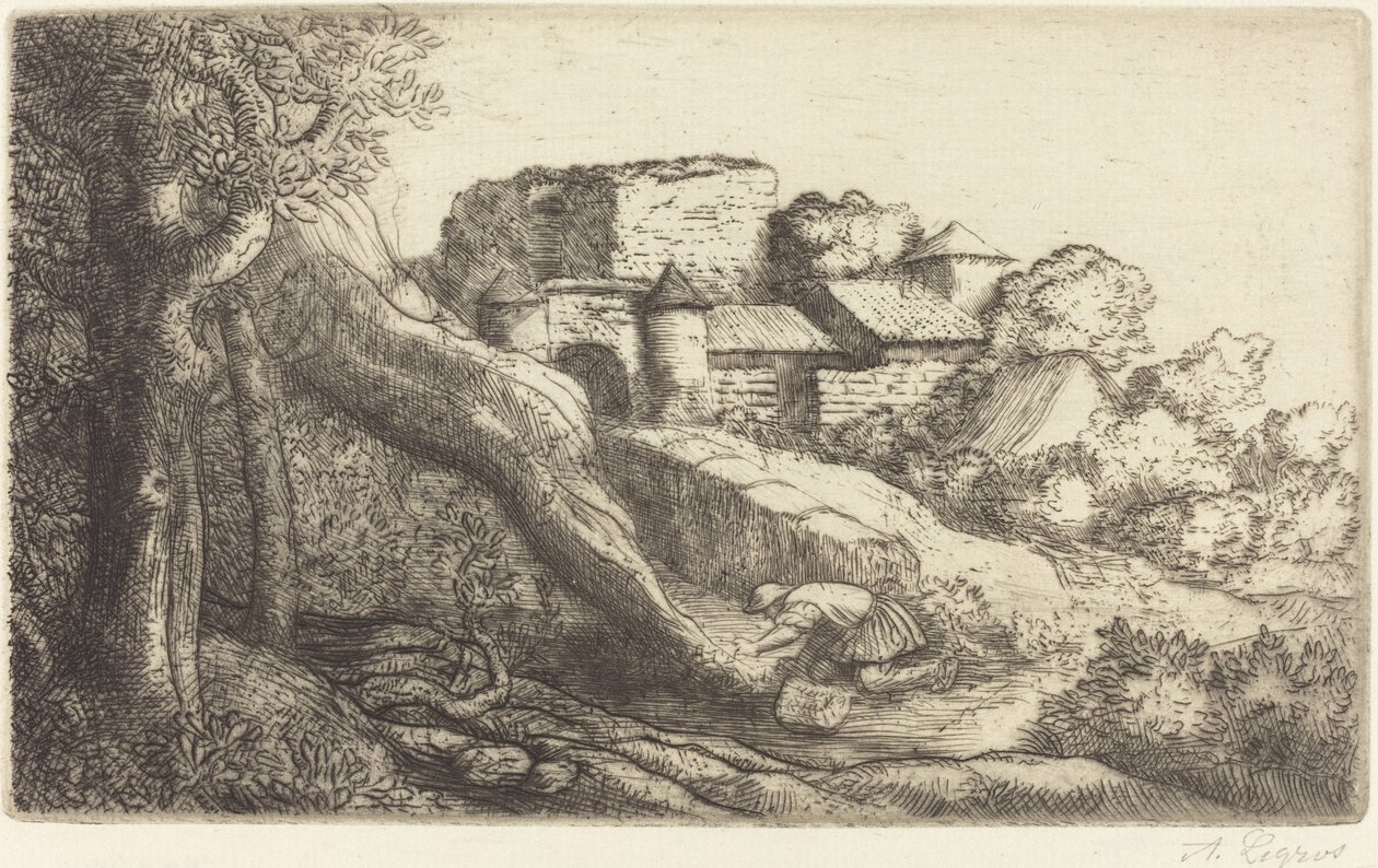 Kleine Grasbrander (Le petit brûleur d