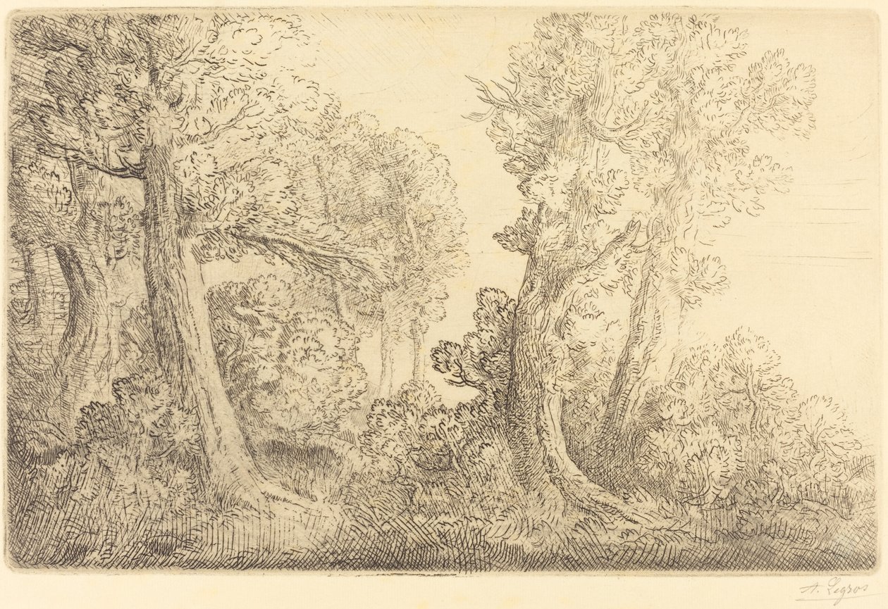 Bij het bos, Veronne door Alphonse Legros