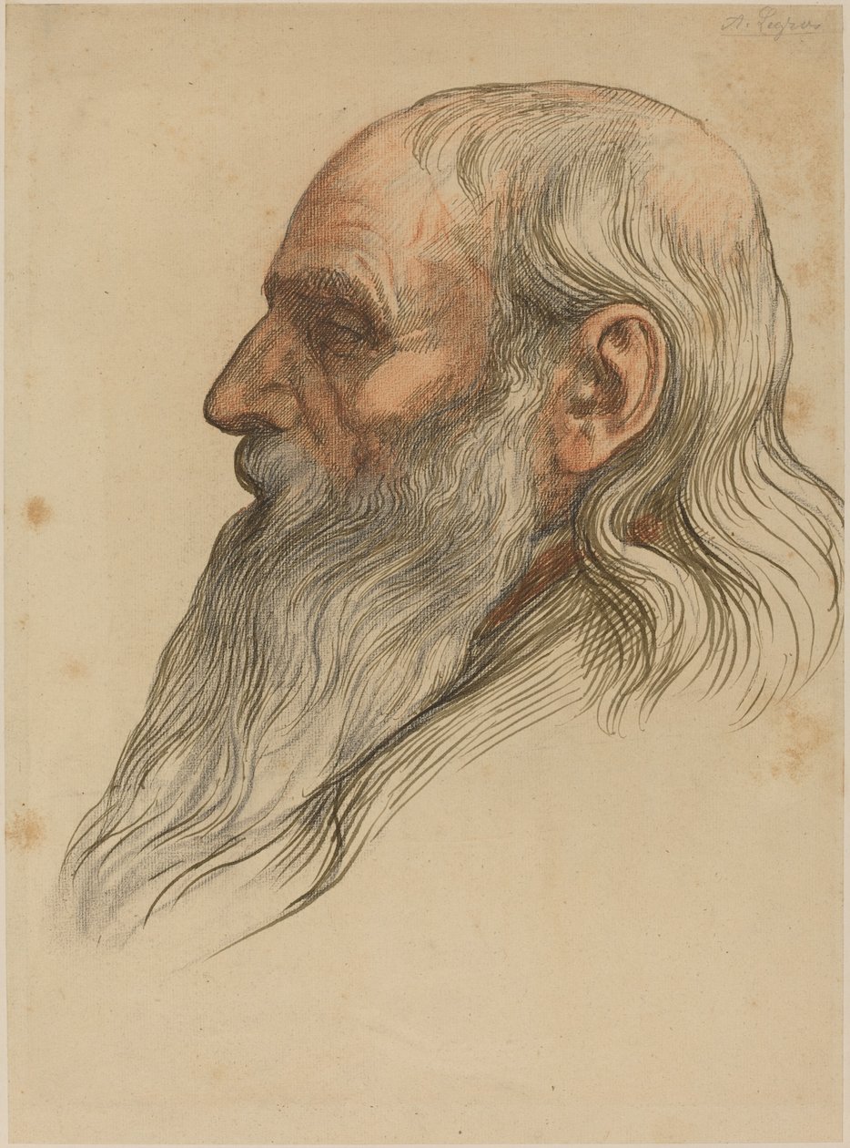 Studie van een mannenhoofd met volle baard door Alphonse Legros