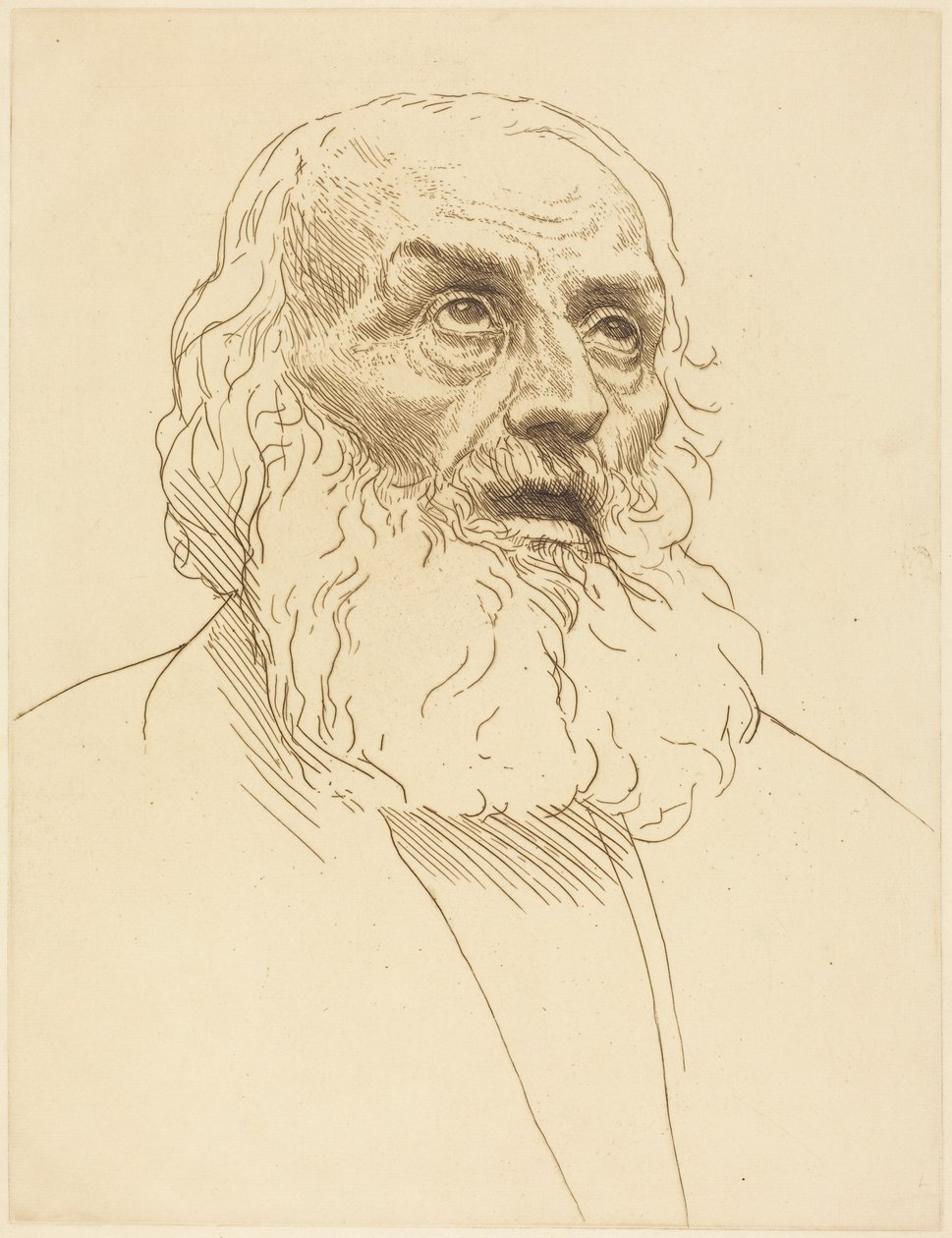 Study of an Old Man (Studie van een oude man) door Alphonse Legros