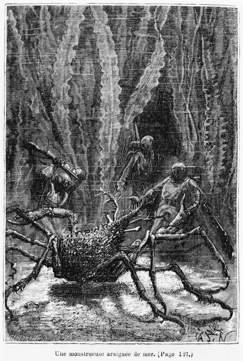 De spinnenkrab, illustratie uit 