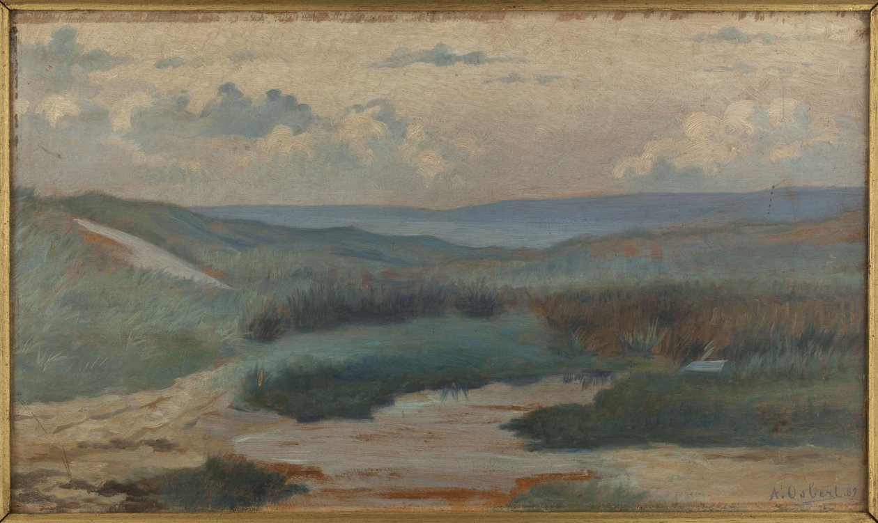 Een vijver in de duinen 